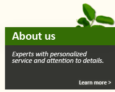 Experts with personalized service and attention to details.